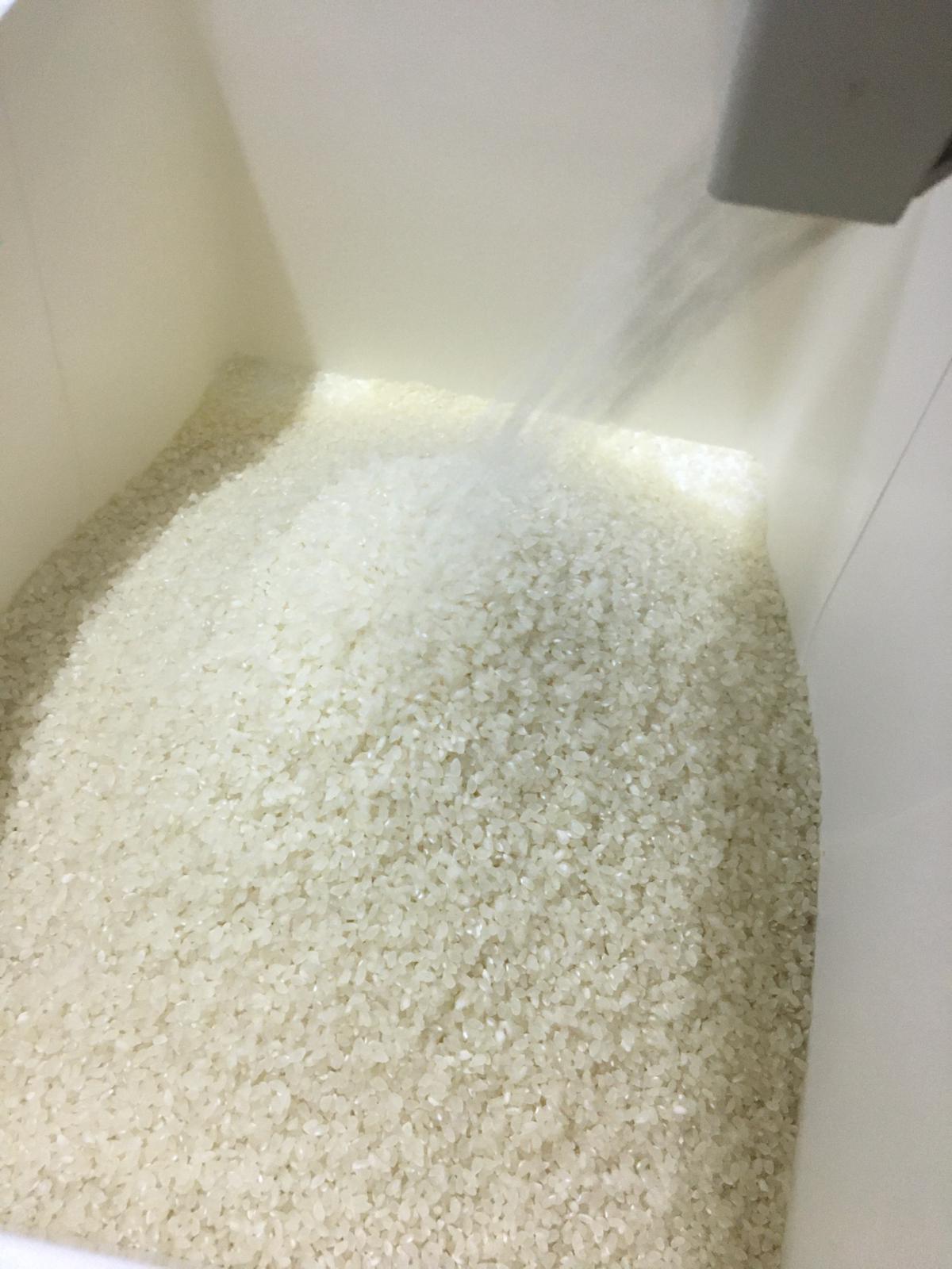 精米工序,需要一定的經驗。