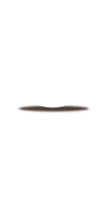 header_icon_double
