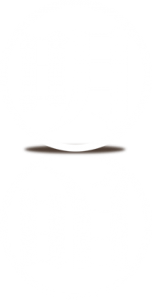 header_icon_fire