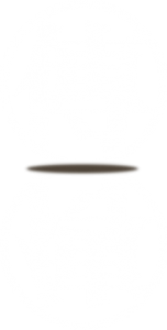 header_icon_rush